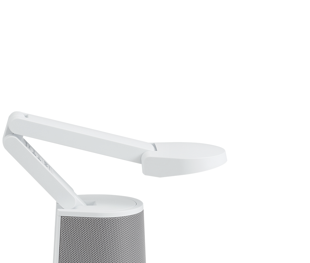 Flexible Arm