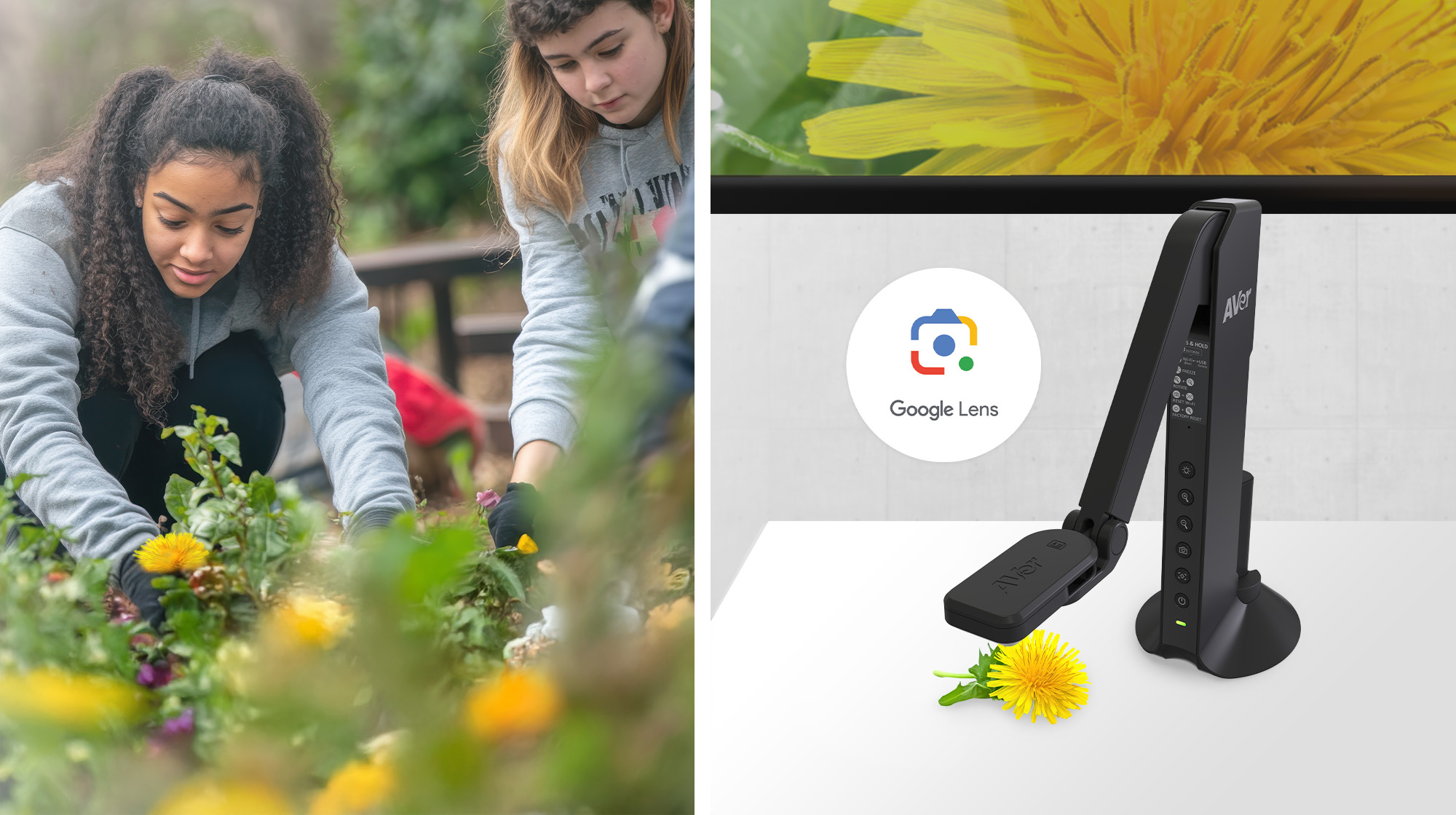 How to Get the Most Out of Your Document Camera